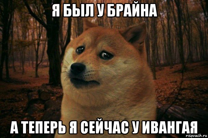 я был у брайна а теперь я сейчас у ивангая, Мем SAD DOGE