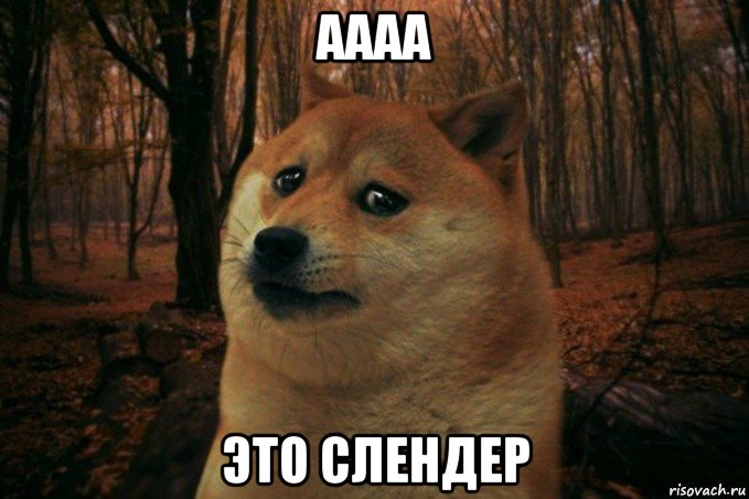 аааа это слендер, Мем SAD DOGE