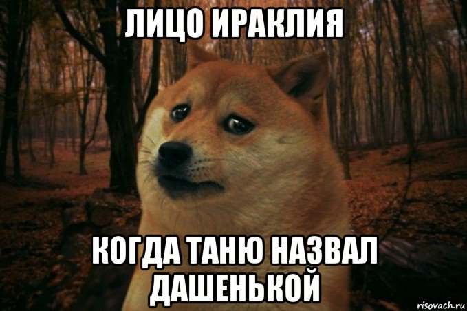 лицо ираклия когда таню назвал дашенькой, Мем SAD DOGE