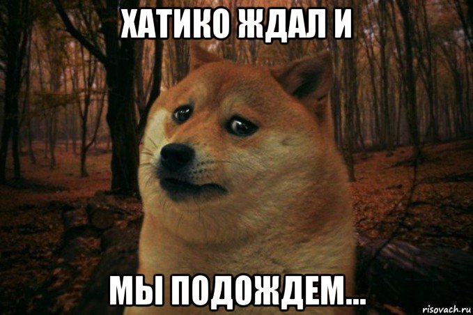 хатико ждал и мы подождем..., Мем SAD DOGE