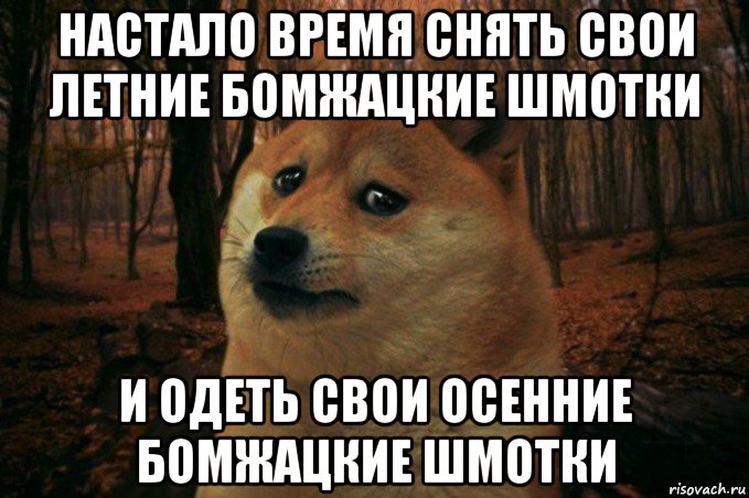 настало время снять свои летние бомжацкие шмотки и одеть свои осенние бомжацкие шмотки, Мем SAD DOGE