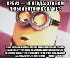 арбуз — не ягода. это вам любой ботаник скажет. арбух назвали ягодой! а почему забыли про дыню, тыкву, кабачок, огурец? какой-то ботаник-двоечник поел арбуз сладкий и сказал, что это ягода! и тогда сразу все в ладоши захлопали! арбуз, как и огурец — овощ!, Мем   Какой миньон