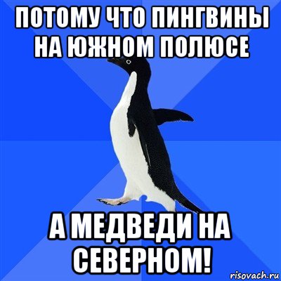 потому что пингвины на южном полюсе а медведи на северном!, Мем  Социально-неуклюжий пингвин