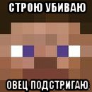 строю убиваю овец подстригаю