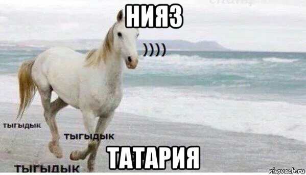 нияз татария, Мем   Тыгыдык