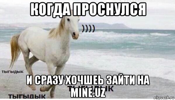 когда проснулся и сразу хочшеь зайти на mine.uz, Мем   Тыгыдык