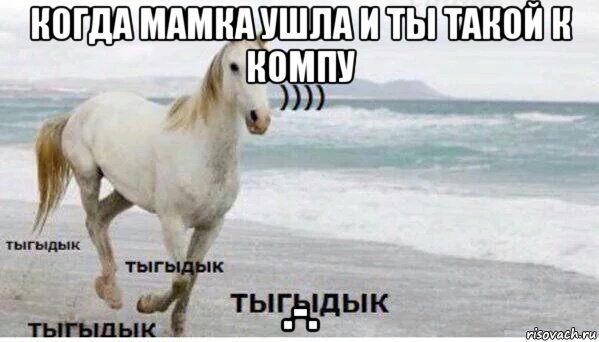 когда мамка ушла и ты такой к компу .-., Мем   Тыгыдык