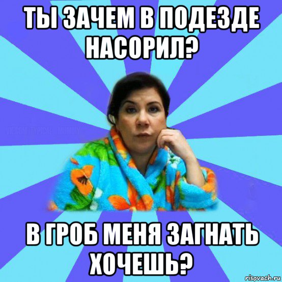 ты зачем в подезде насорил? в гроб меня загнать хочешь?, Мем типичная мама