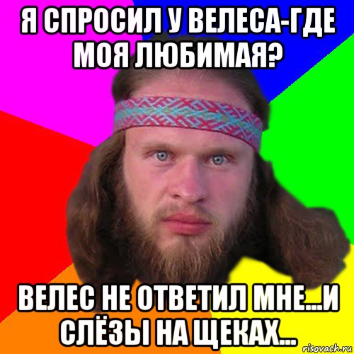 я спросил у велеса-где моя любимая? велес не ответил мне...и слёзы на щеках..., Мем Типичный долбослав