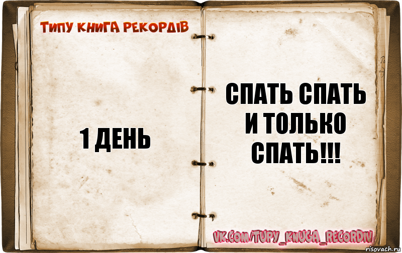 1 день СПАТЬ СПАТЬ И ТОЛЬко СПАТЬ!!!, Комикс  Типу книга рекордв