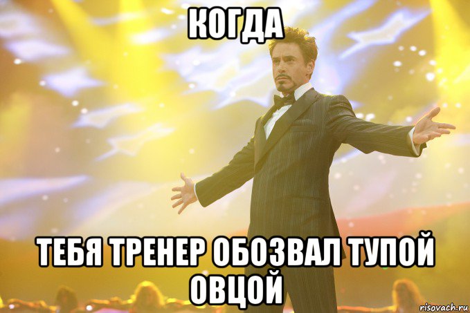 когда тебя тренер обозвал тупой овцой, Мем Тони Старк (Роберт Дауни младший)