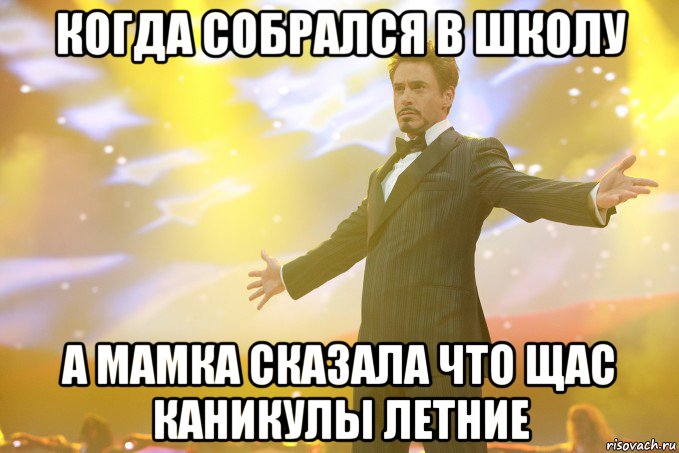 когда собрался в школу а мамка сказала что щас каникулы летние, Мем Тони Старк (Роберт Дауни младший)