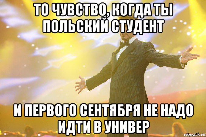 то чувство, когда ты польский студент и первого сентября не надо идти в универ, Мем Тони Старк (Роберт Дауни младший)