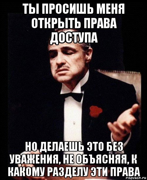 ты просишь меня открыть права доступа но делаешь это без уважения, не объясняя, к какому разделу эти права, Мем ты делаешь это без уважения