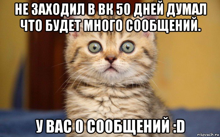 не заходил в вк 50 дней думал что будет много сообщений. у вас 0 сообщений :d