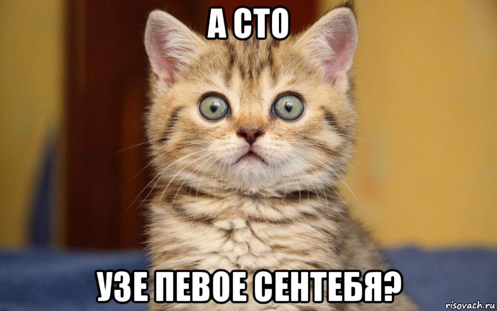 а сто узе певое сентебя?