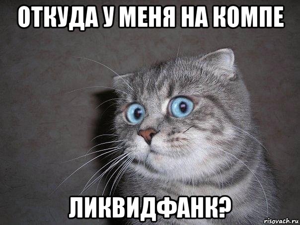 откуда у меня на компе ликвидфанк?, Мем  удивлённый кот