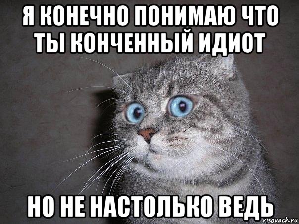 я конечно понимаю что ты конченный идиот но не настолько ведь, Мем  удивлённый кот