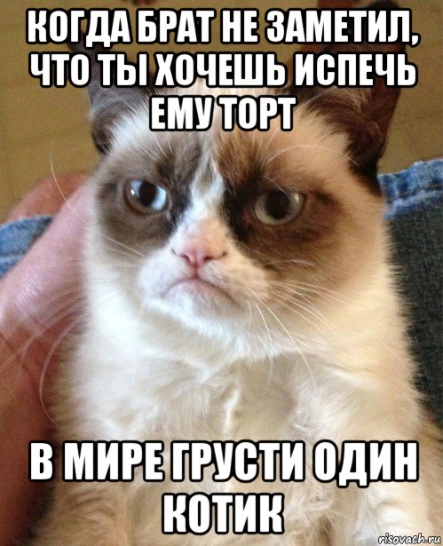 когда брат не заметил, что ты хочешь испечь ему торт в мире грусти один котик