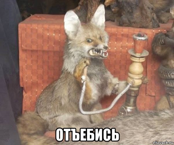  отъебись