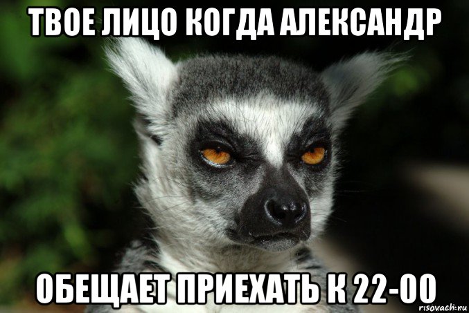 твое лицо когда александр обещает приехать к 22-00, Мем   Я збагоен