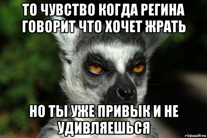 то чувство когда регина говорит что хочет жрать но ты уже привык и не удивляешься, Мем   Я збагоен