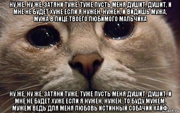 ну же, ну же, затяни туже, туже пусть меня душит, душит, и мне не будет хуже если я нужен, нужен, и видишь мужа, мужа в лице твоего любимого мальчика ну же, ну же, затяни туже, туже пусть меня душит, душит, и мне не будет хуже если я нужен, нужен, то буду мужем, мужем ведь для меня любовь истинный собачий кайф, Мем   В мире грустит один котик