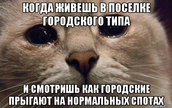 когда живешь в поселке городского типа и смотришь как городские прыгают на нормальных спотах, Мем   В мире грустит один котик