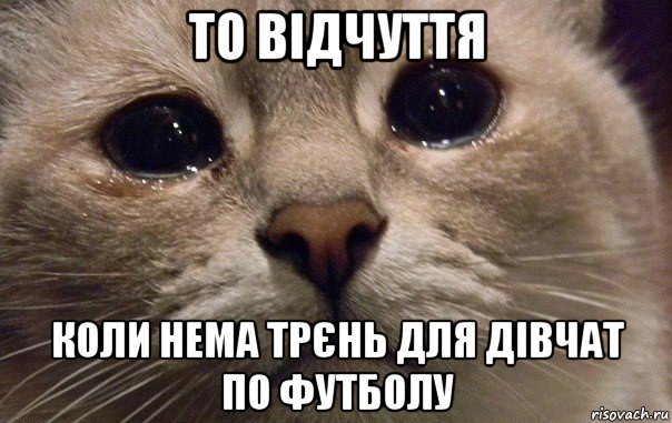 то відчуття коли нема трєнь для дівчат по футболу, Мем   В мире грустит один котик