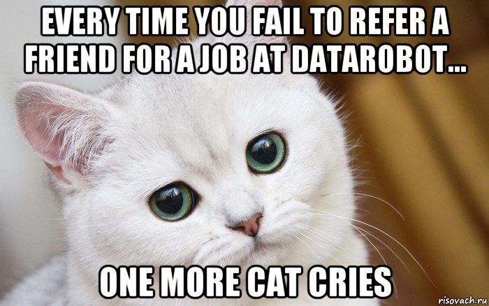 every time you fail to refer a friend for a job at datarobot... one more cat cries, Мем  В мире грустит один котик