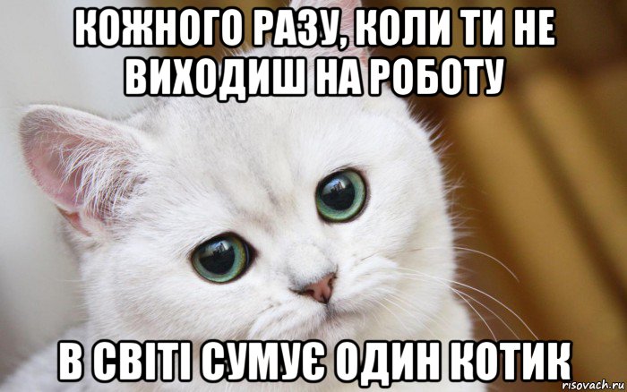 кожного разу, коли ти не виходиш на роботу в світі сумує один котик, Мем  В мире грустит один котик