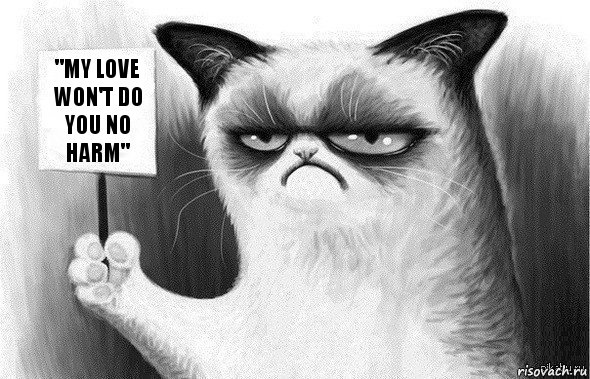 "My love won't do you no harm", Комикс Угрюмый кот с табличкой