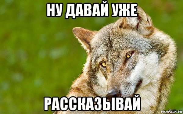 ну давай уже рассказывай, Мем   Volf