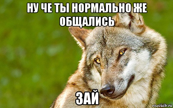 ну че ты нормально же общались зай, Мем   Volf