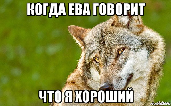 когда ева говорит что я хороший, Мем   Volf