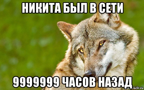 никита был в сети 9999999 часов назад, Мем   Volf