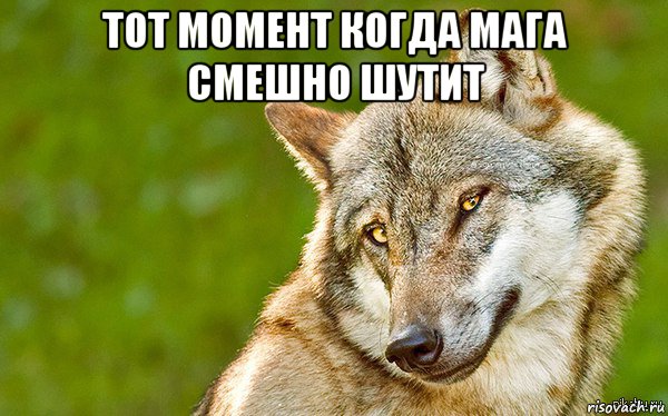 тот момент когда мага смешно шутит , Мем   Volf