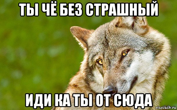 ты чё без страшный иди ка ты от сюда, Мем   Volf