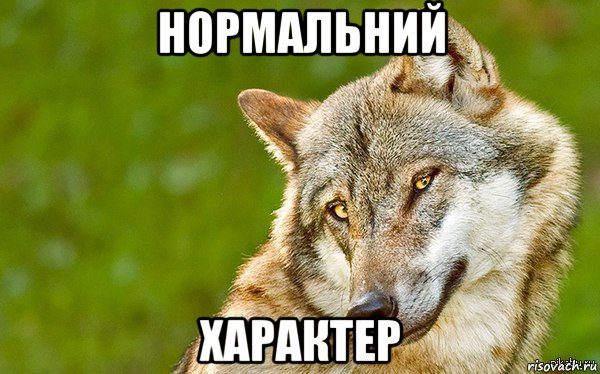 нормальний характер, Мем   Volf