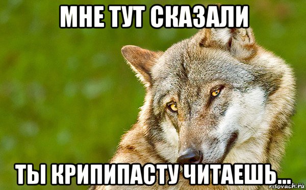 мне тут сказали ты крипипасту читаешь..., Мем   Volf