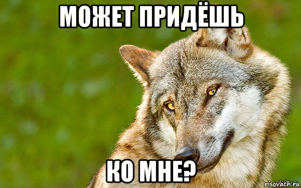 может придёшь ко мне?, Мем   Volf