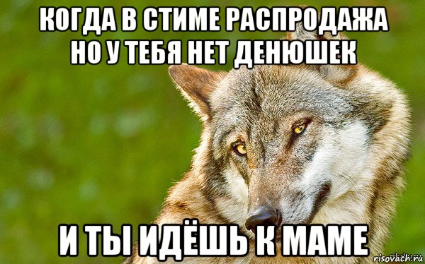 когда в стиме распродажа но у тебя нет денюшек и ты идёшь к маме, Мем   Volf