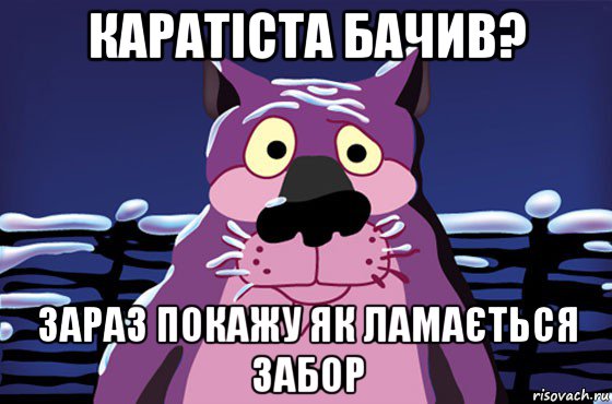 каратіста бачив? зараз покажу як ламається забор, Мем Волк