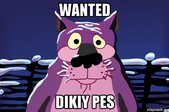 wanted dikiy pes, Мем Волк