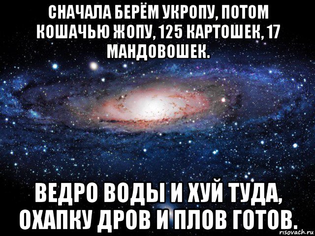 сначала берём укропу, потом кошачью жопу, 125 картошек, 17 мандовошек. ведро воды и хуй туда, охапку дров и плов готов., Мем Вселенная