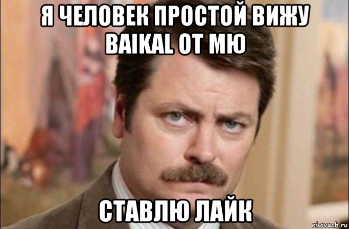 я человек простой вижу baikal от мю ставлю лайк, Мем  Я человек простой