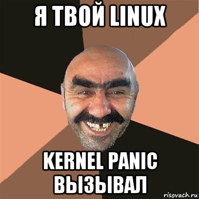 я твой linux kernel panic вызывал, Мем Я твой дом труба шатал