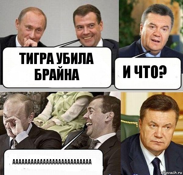 Тигра убила брайна И что? АААААААААААААААААААААААААА, Комикс  Разговор Януковича с Путиным и Медведевым