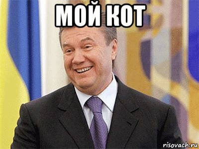 мой кот 