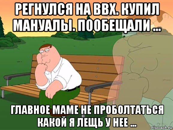 регнулся на ввх. купил мануалы. пообещали ... главное маме не проболтаться какой я лещь у нее ..., Мем Задумчивый Гриффин